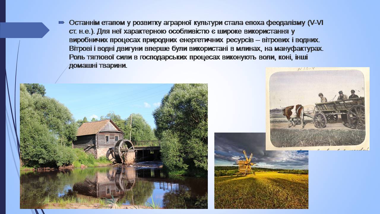 Презентація на тему «Етапи взаємодії суспільства і природи та їхні екологічні особливості» - Слайд #10 Презентація на тему «Етапи взаємодії суспільства і природи та їхні екологічні особливості» - Слайд #10