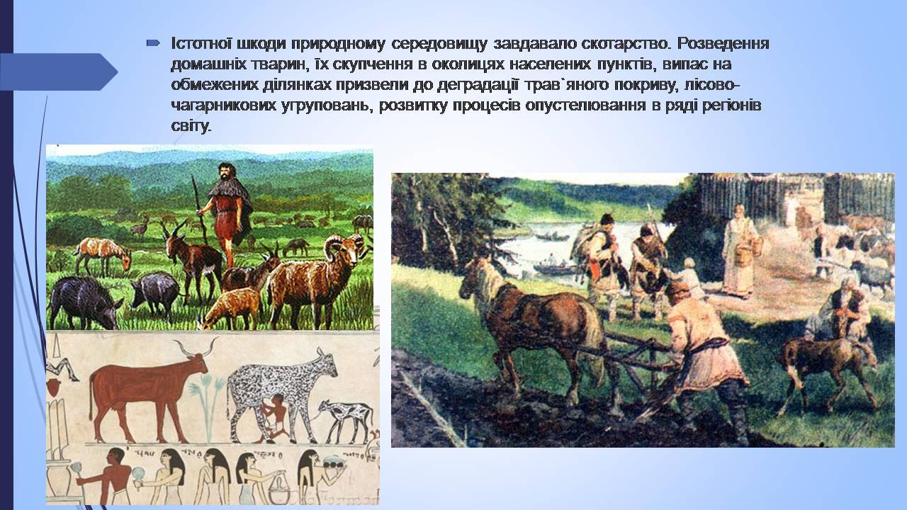 Презентація на тему «Етапи взаємодії суспільства і природи та їхні екологічні особливості» - Слайд #9 Презентація на тему «Етапи взаємодії суспільства і природи та їхні екологічні особливості» - Слайд #9
