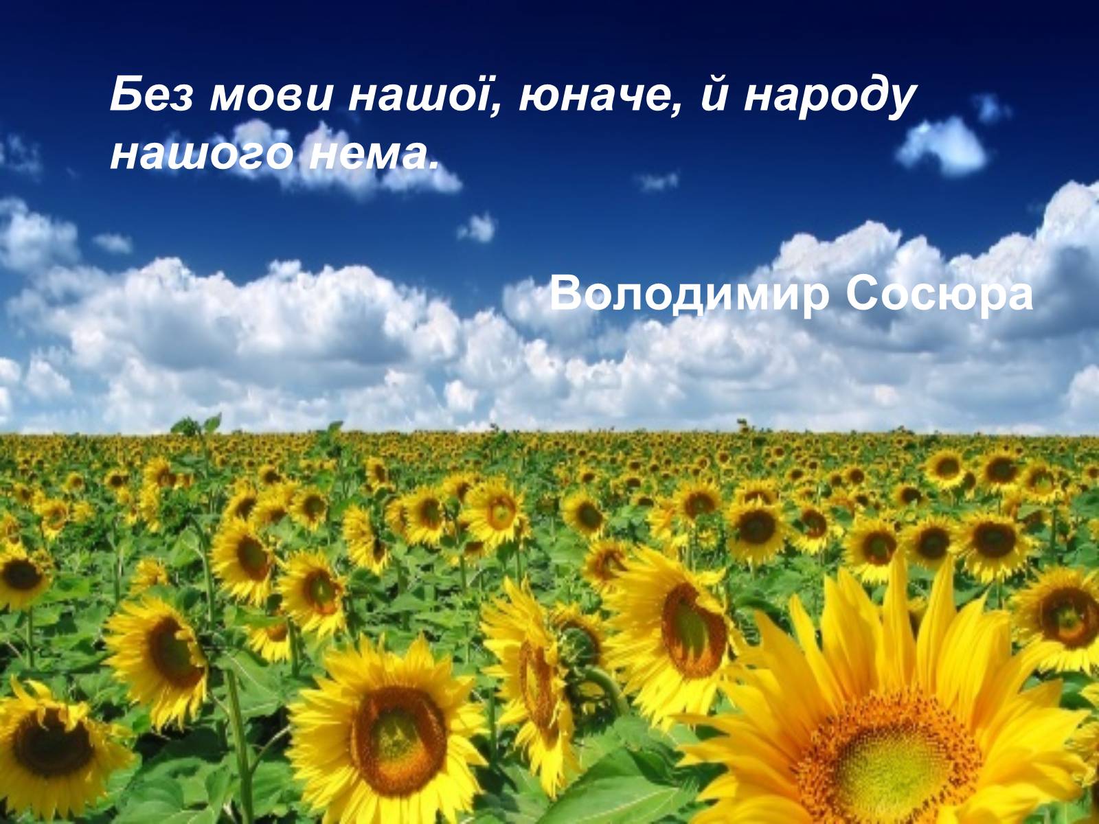 Презентація на тему «День української писемності та мови» - Слайд #15 Презентація на тему «День української писемності та мови» - Слайд #15