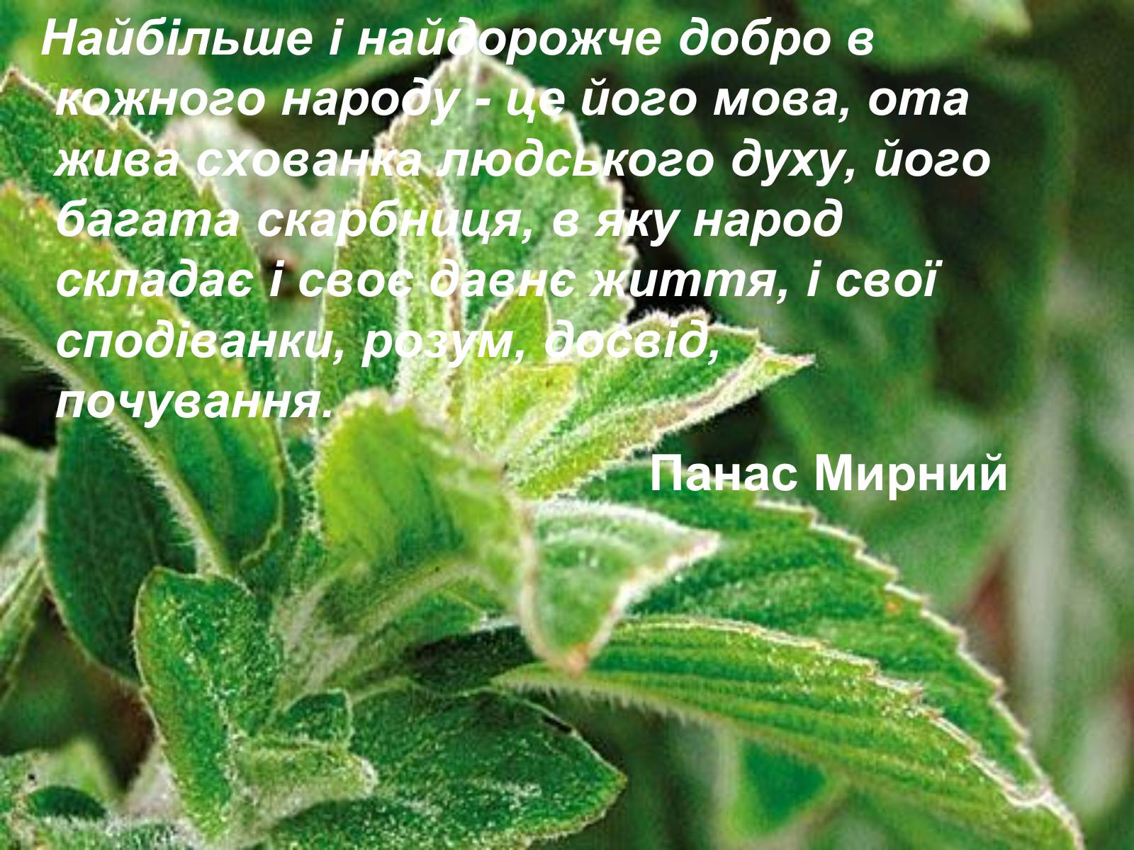 Презентація на тему «День української писемності та мови» - Слайд #16 Презентація на тему «День української писемності та мови» - Слайд #16
