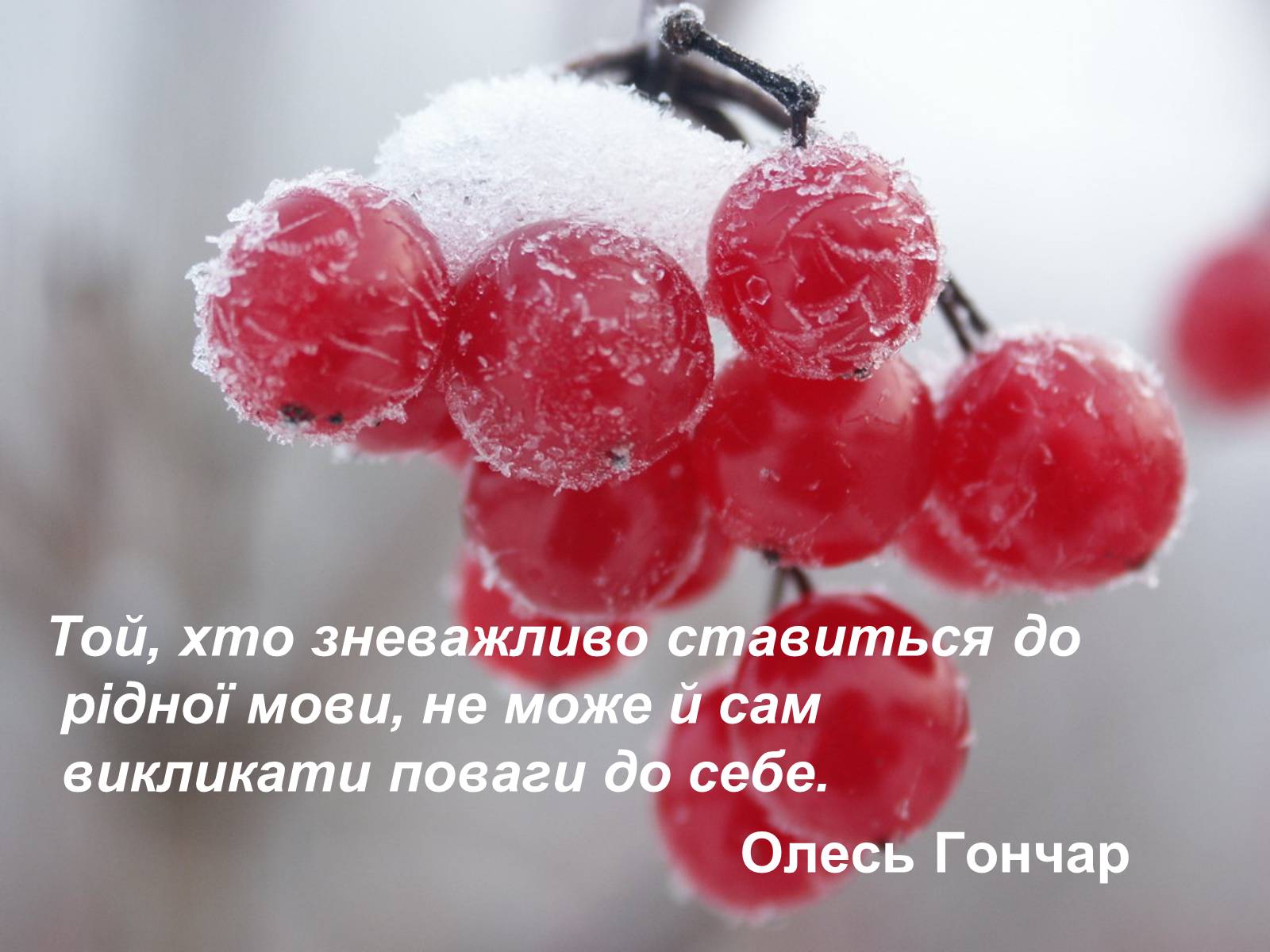 Презентація на тему «День української писемності та мови» - Слайд #17 Презентація на тему «День української писемності та мови» - Слайд #17