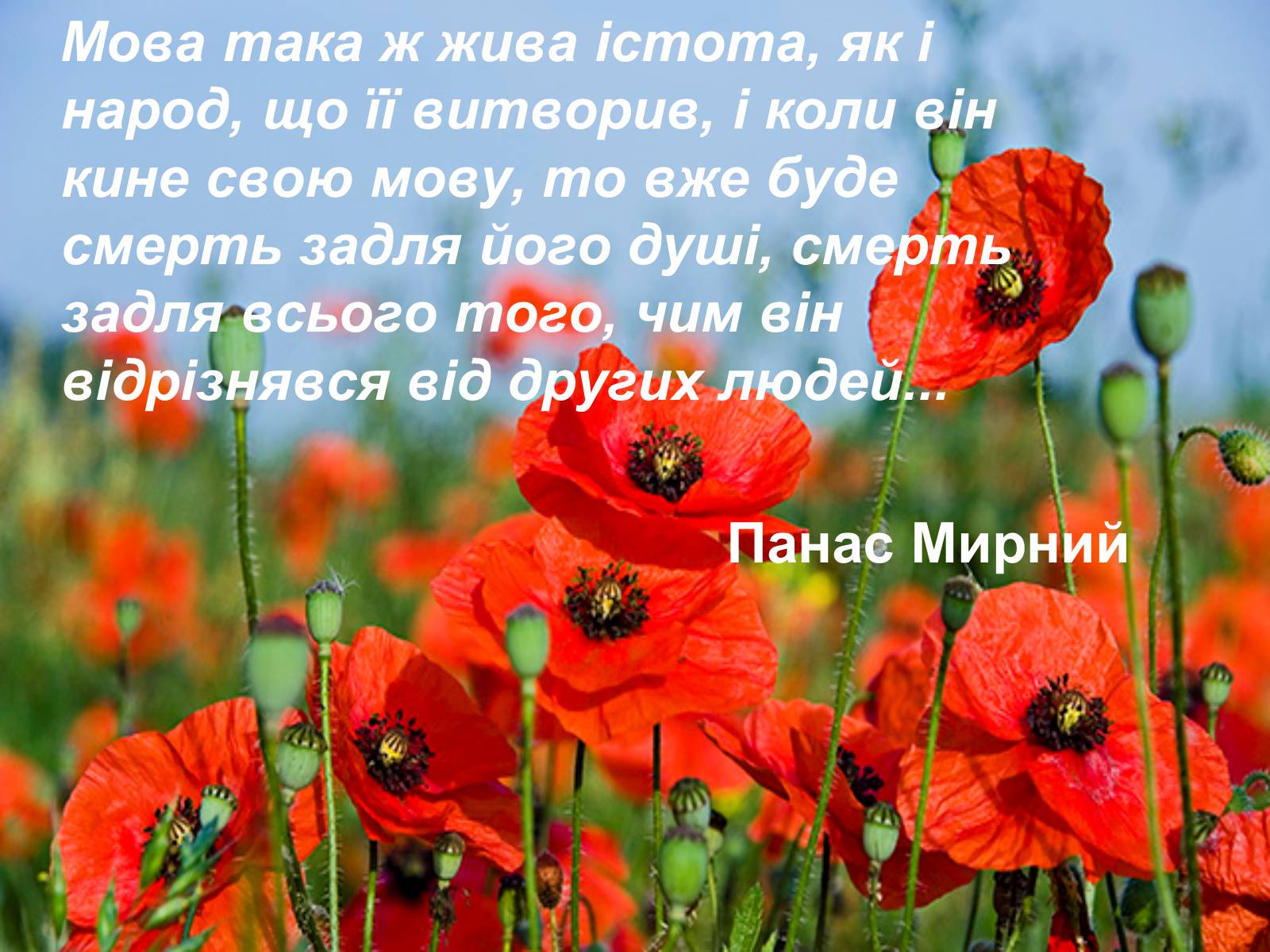 Презентація на тему «День української писемності та мови» - Слайд #19 Презентація на тему «День української писемності та мови» - Слайд #19