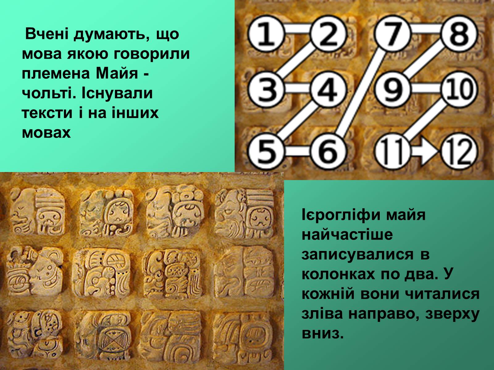 Презентація на тему «Цивілізація майя» - Слайд #6 Презентація на тему «Цивілізація майя» - Слайд #6