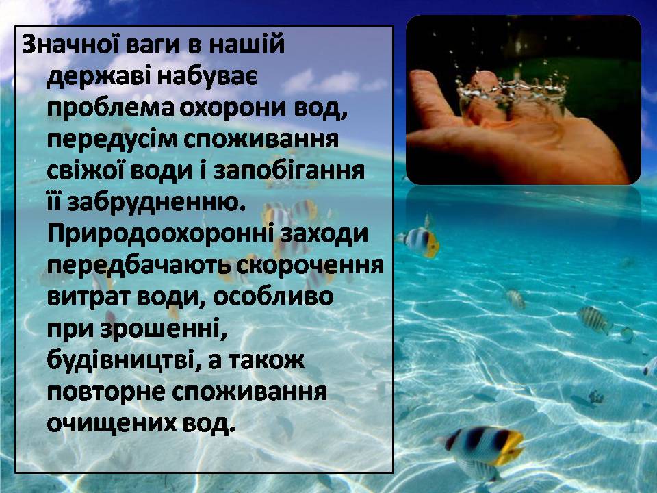 Презентація на тему «Сучасні проблеми природокористування в Україні» - Слайд #11 Презентація на тему «Сучасні проблеми природокористування в Україні» - Слайд #11