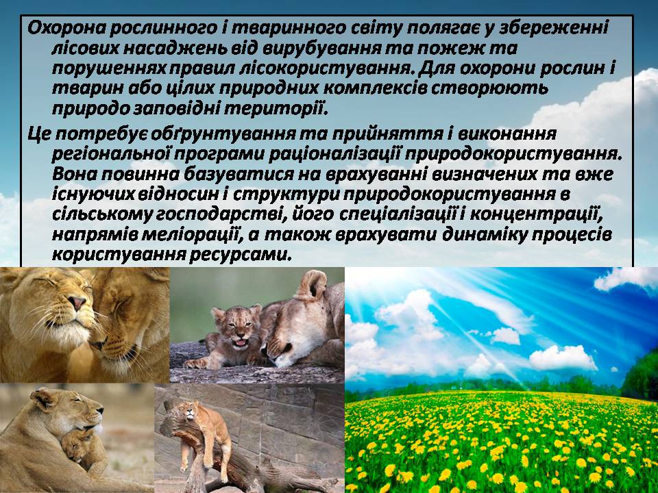 Презентація на тему «Сучасні проблеми природокористування в Україні» - Слайд #13 Презентація на тему «Сучасні проблеми природокористування в Україні» - Слайд #13