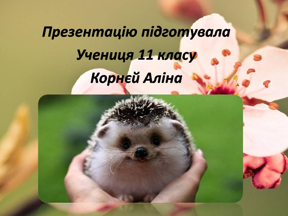 Презентація на тему «Сучасні проблеми природокористування в Україні» - Слайд #18 Презентація на тему «Сучасні проблеми природокористування в Україні» - Слайд #18