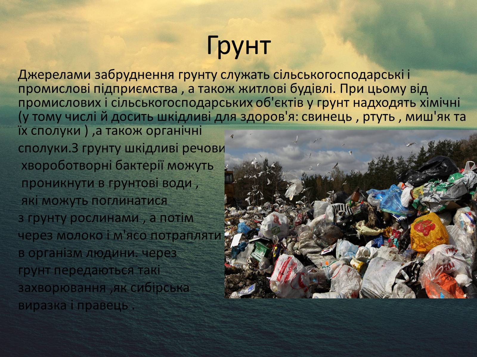 Презентація на тему «Здоров’я людини і навколишне середовище» - Слайд #6 Презентація на тему «Здоров’я людини і навколишне середовище» - Слайд #6