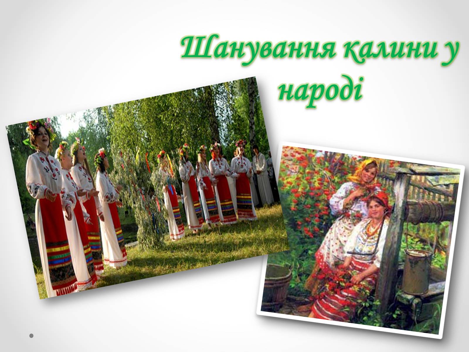Презентація на тему «Без верби і калини немає України» - Слайд #8 Презентація на тему «Без верби і калини немає України» - Слайд #8