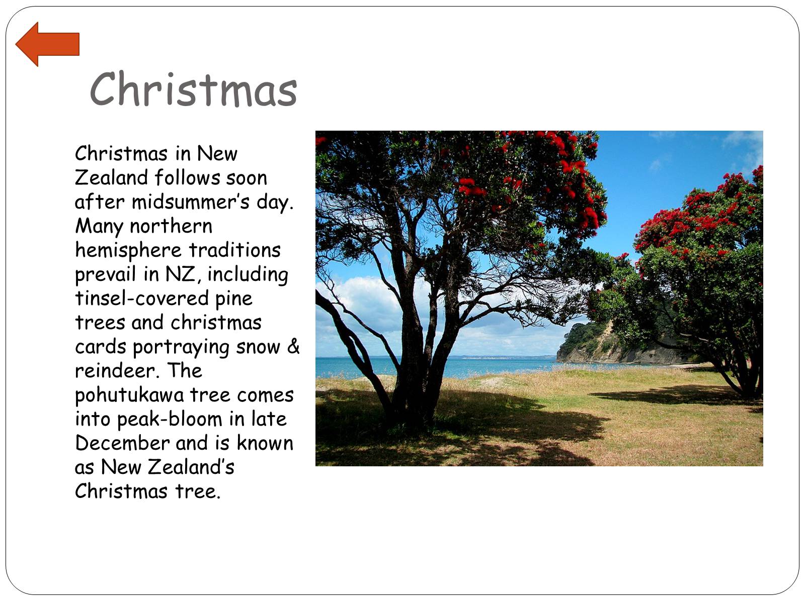 Презентація на тему «New Zealand’s Specials: A Future Sociologist’s View» - Слайд #23 Презентація на тему «New Zealand’s Specials: A Future Sociologist’s View» - Слайд #23