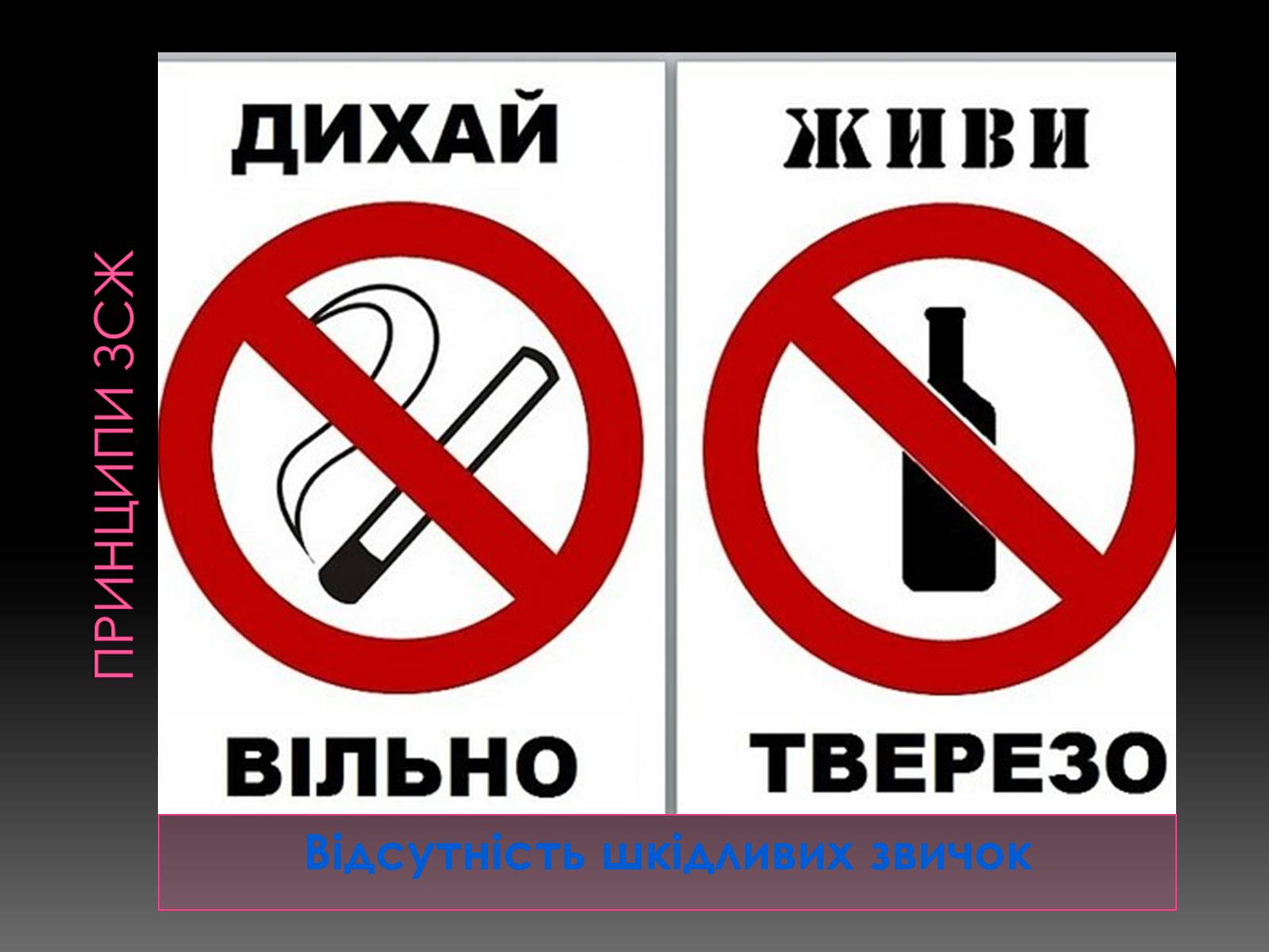 Презентація на тему «Здоровий спосіб життя» (варіант 11) - Слайд #10