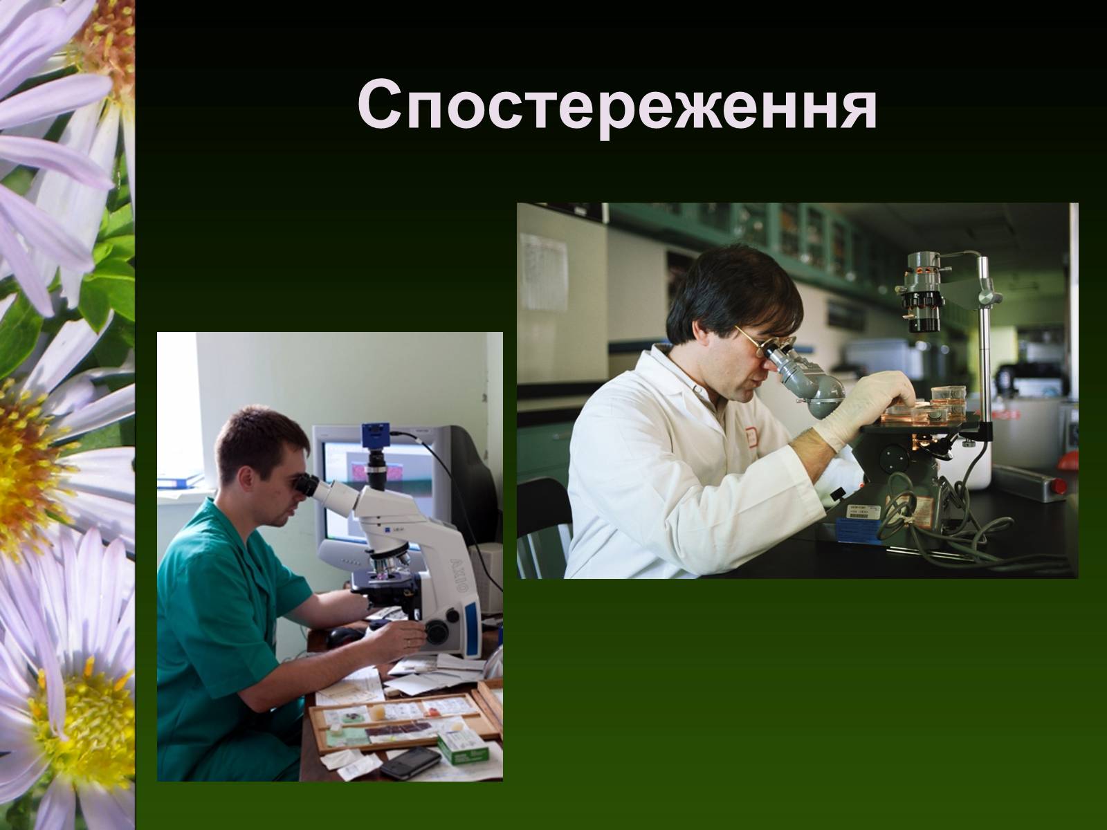 Презентація на тему «Екологія як наука про довкілля» (варіант 2) - Слайд #12 Презентація на тему «Екологія як наука про довкілля» (варіант 2) - Слайд #12