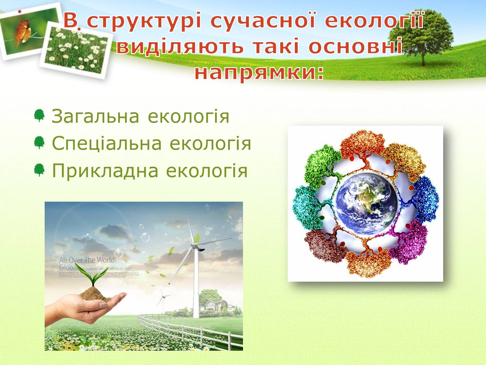 Презентація на тему «Екологія як наука про довкілля» (варіант 2) - Слайд #16 Презентація на тему «Екологія як наука про довкілля» (варіант 2) - Слайд #16