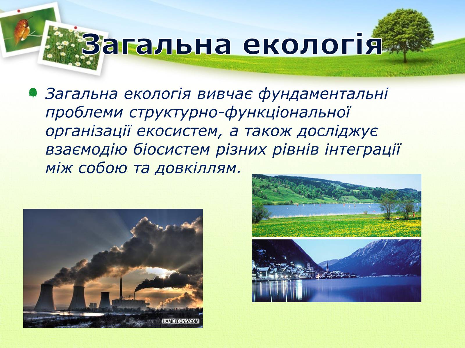 Презентація на тему «Екологія як наука про довкілля» (варіант 2) - Слайд #17 Презентація на тему «Екологія як наука про довкілля» (варіант 2) - Слайд #17