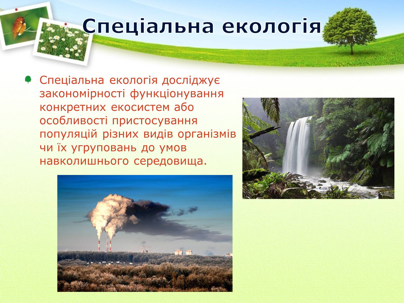 Презентація на тему «Екологія як наука про довкілля» (варіант 2) - Слайд #18 Презентація на тему «Екологія як наука про довкілля» (варіант 2) - Слайд #18