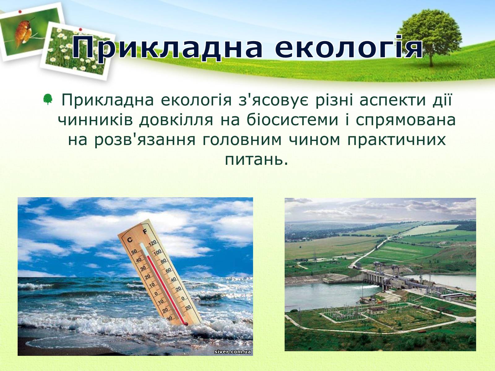 Презентація на тему «Екологія як наука про довкілля» (варіант 2) - Слайд #19 Презентація на тему «Екологія як наука про довкілля» (варіант 2) - Слайд #19