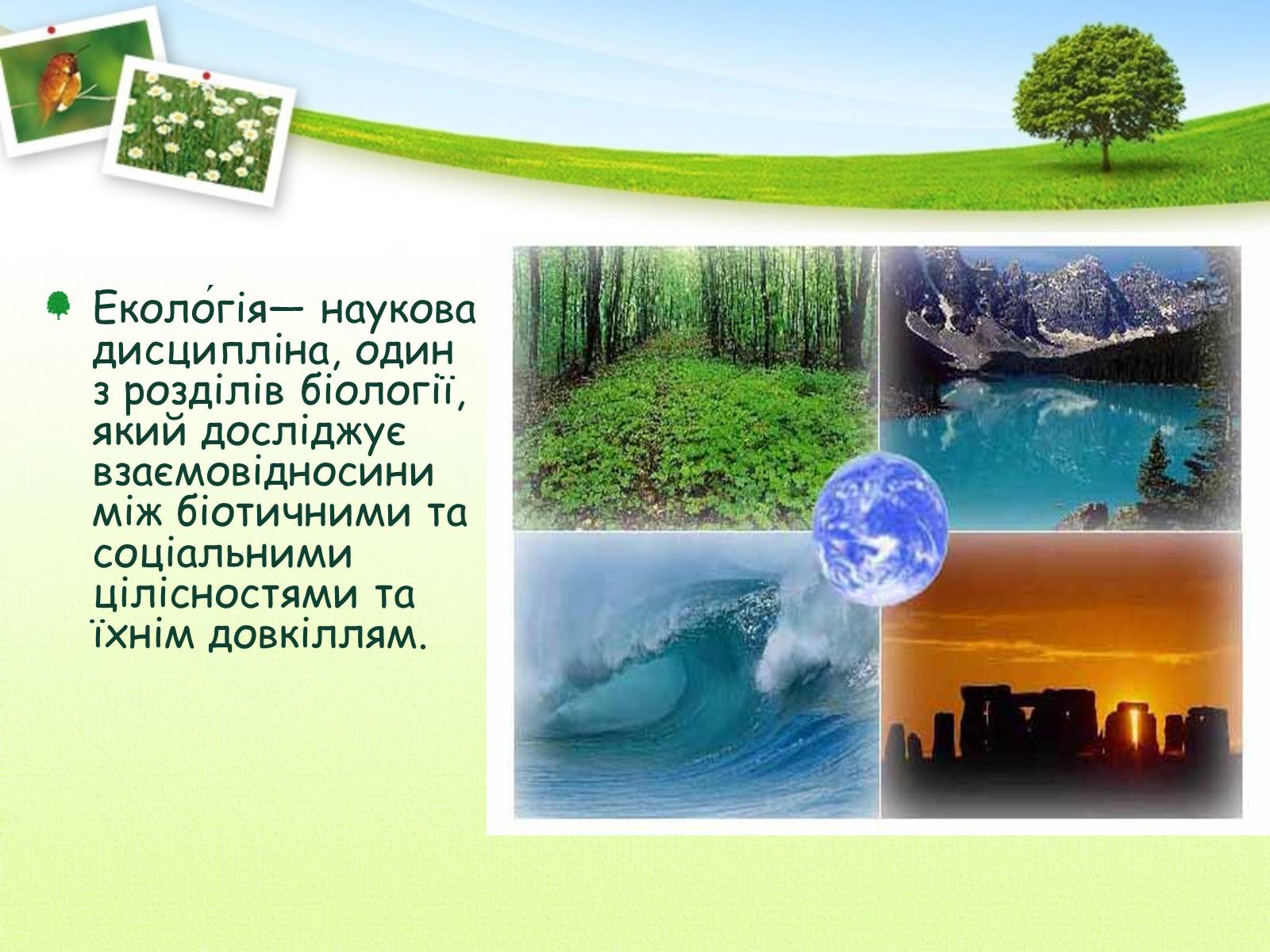 Презентація на тему «Екологія як наука про довкілля» (варіант 2) - Слайд #2 Презентація на тему «Екологія як наука про довкілля» (варіант 2) - Слайд #2