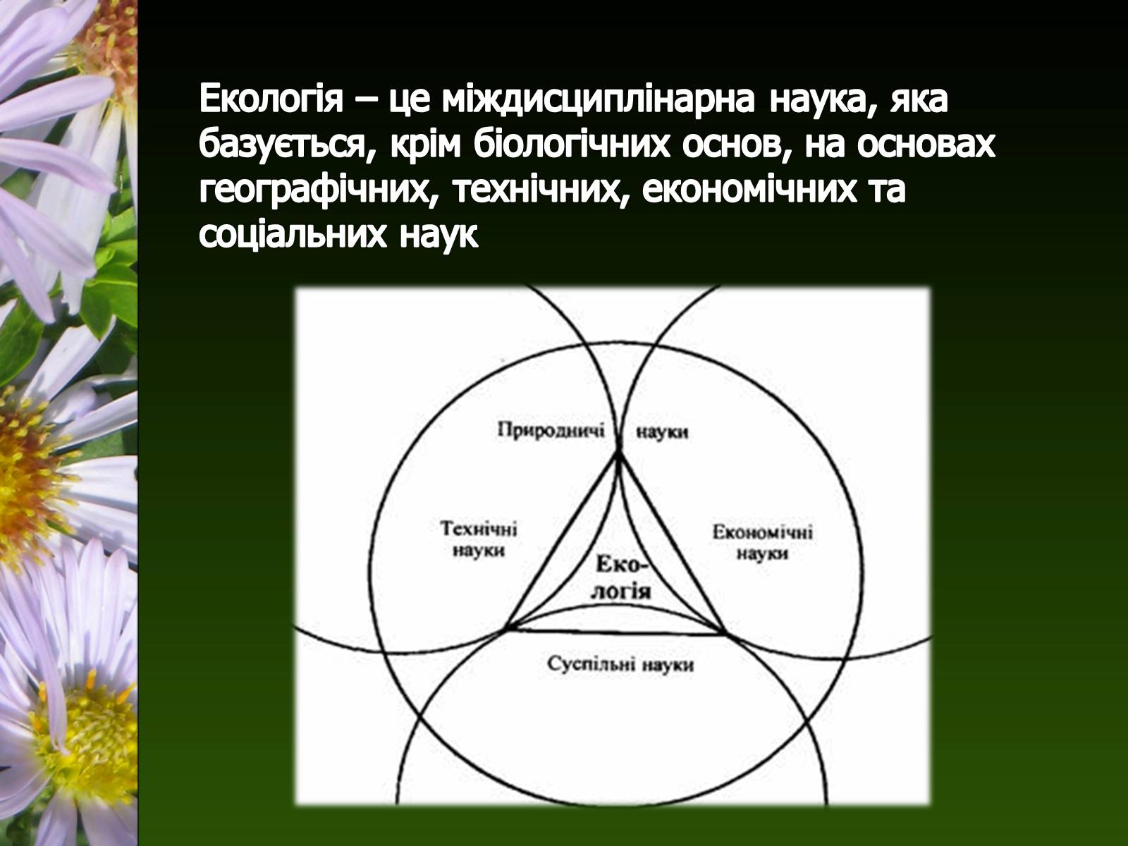 Презентація на тему «Екологія як наука про довкілля» (варіант 2) - Слайд #20 Презентація на тему «Екологія як наука про довкілля» (варіант 2) - Слайд #20