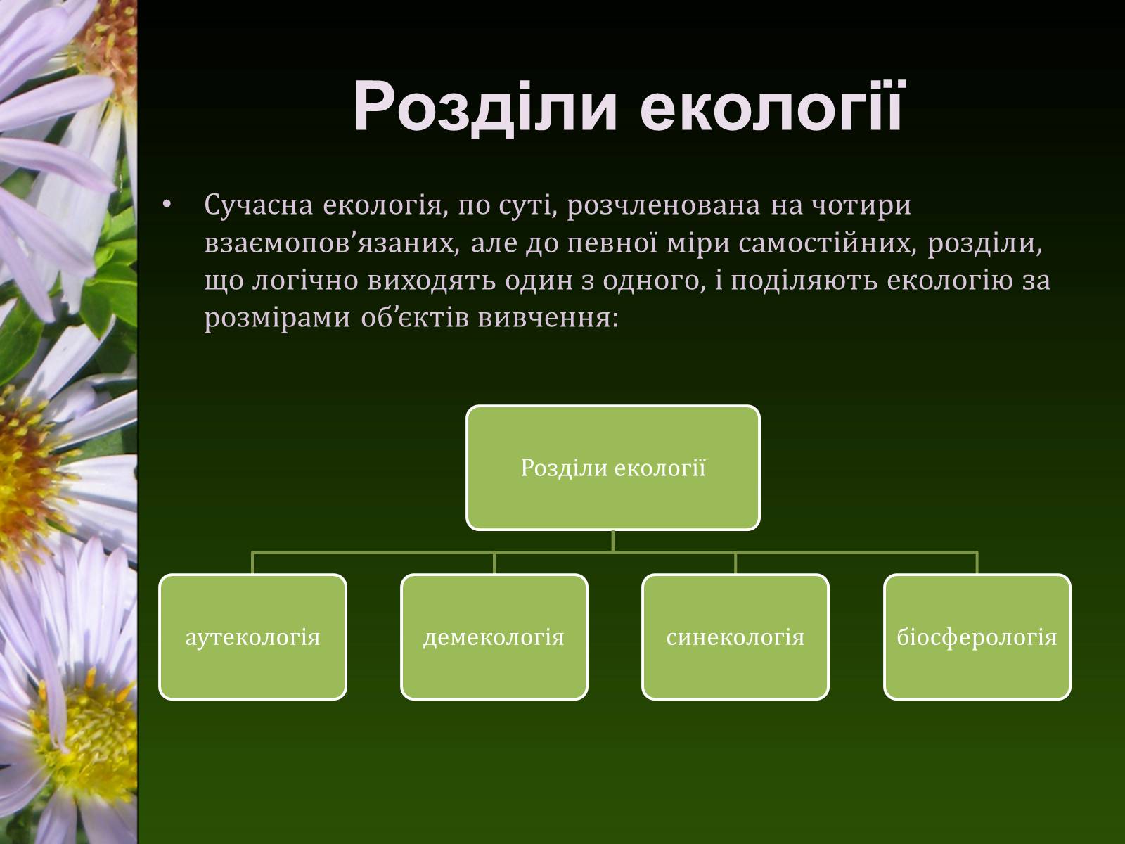 Презентація на тему «Екологія як наука про довкілля» (варіант 2) - Слайд #21 Презентація на тему «Екологія як наука про довкілля» (варіант 2) - Слайд #21