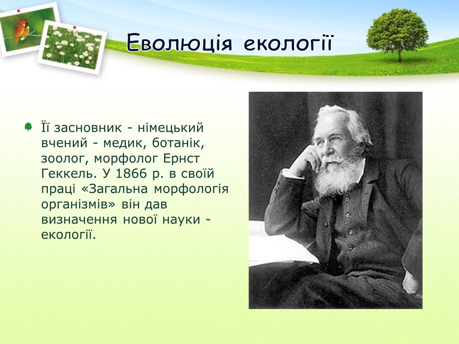 Презентація на тему «Екологія як наука про довкілля» (варіант 2) - Слайд #4 Презентація на тему «Екологія як наука про довкілля» (варіант 2) - Слайд #4