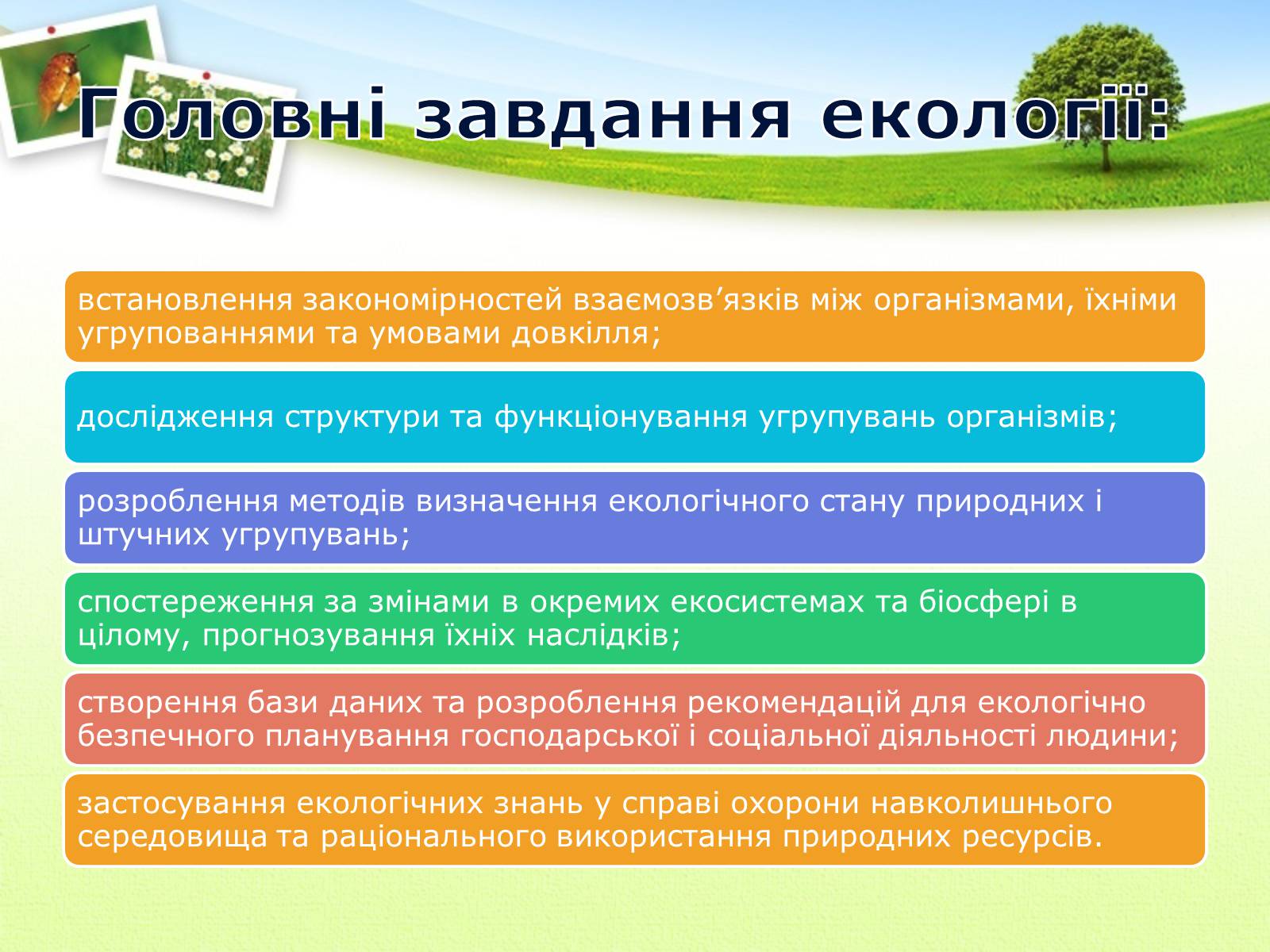 Презентація на тему «Екологія як наука про довкілля» (варіант 2) - Слайд #9 Презентація на тему «Екологія як наука про довкілля» (варіант 2) - Слайд #9