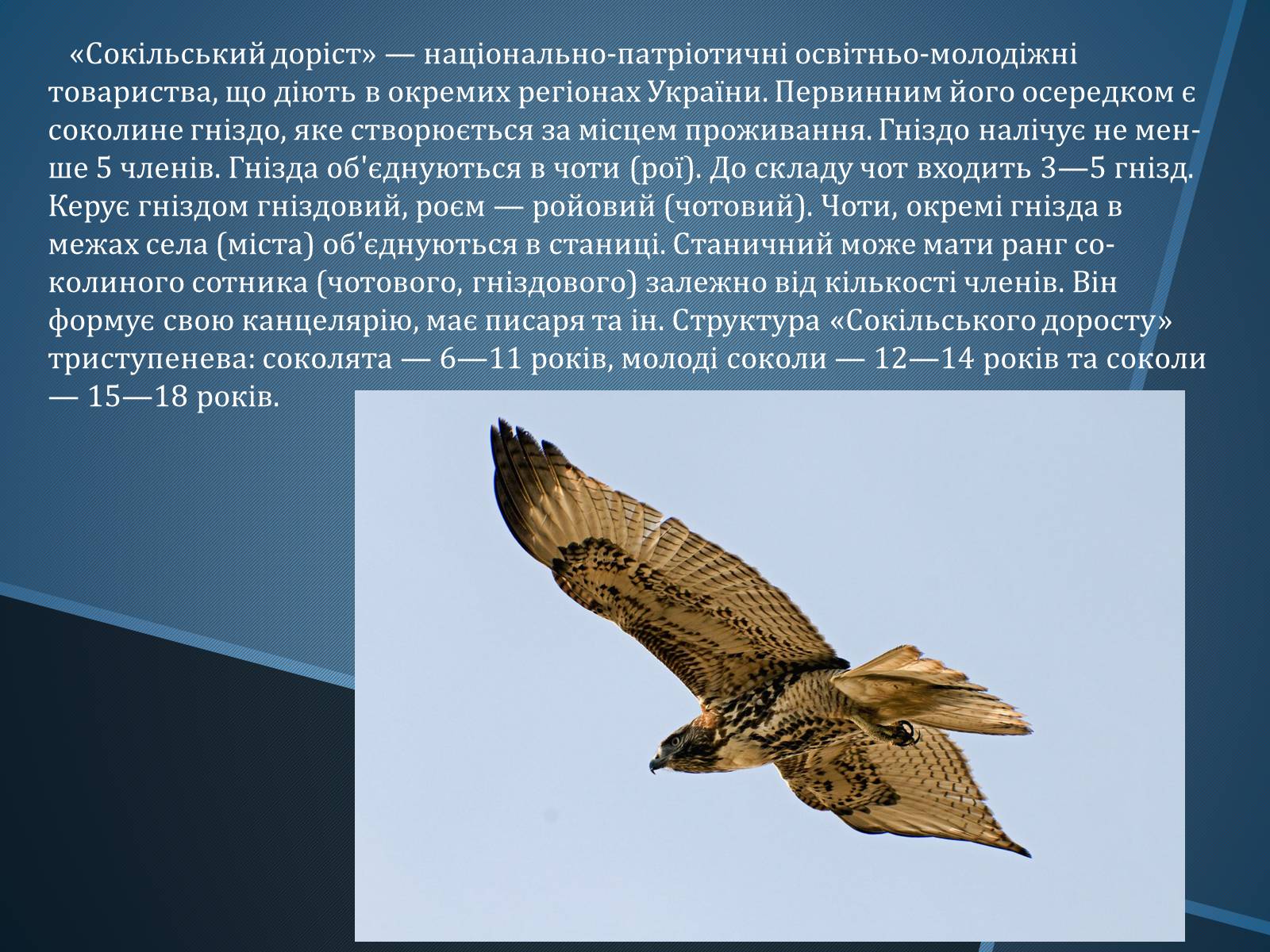 Презентація на тему «Громадські об’єднання та дитячі організації» - Слайд #12 Презентація на тему «Громадські об’єднання та дитячі організації» - Слайд #12