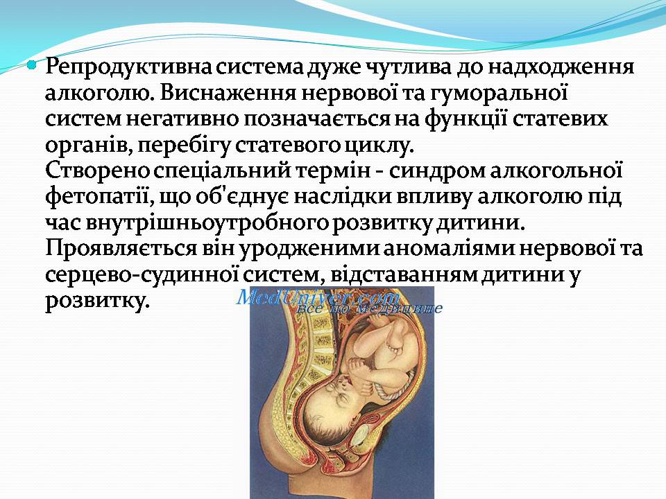 Презентація на тему «Вплив алкоголю на організм людини» (варіант 5) - Слайд #14 Презентація на тему «Вплив алкоголю на організм людини» (варіант 5) - Слайд #14