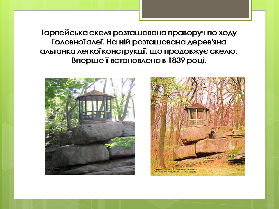 Презентація на тему «Дендрологічний парк “ Софіївка “» - Слайд #7 Презентація на тему «Дендрологічний парк “ Софіївка “» - Слайд #7