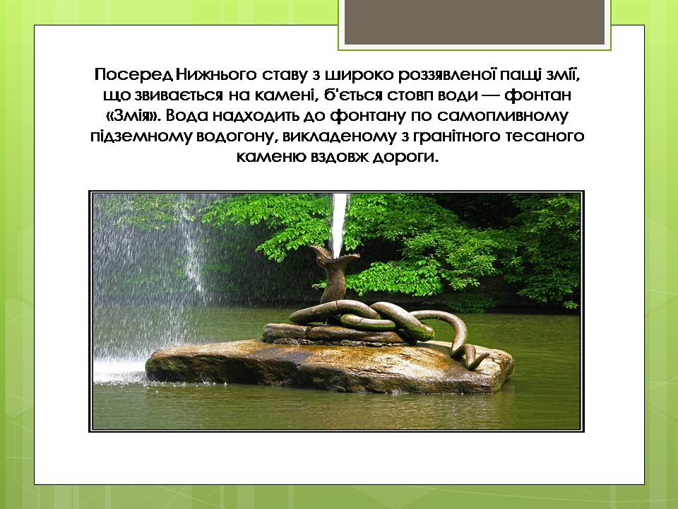 Презентація на тему «Дендрологічний парк “ Софіївка “» - Слайд #8 Презентація на тему «Дендрологічний парк “ Софіївка “» - Слайд #8