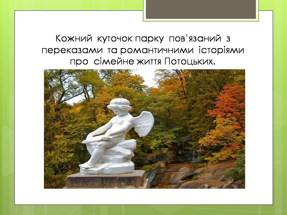 Презентація на тему «Дендрологічний парк “ Софіївка “» - Слайд #9 Презентація на тему «Дендрологічний парк “ Софіївка “» - Слайд #9