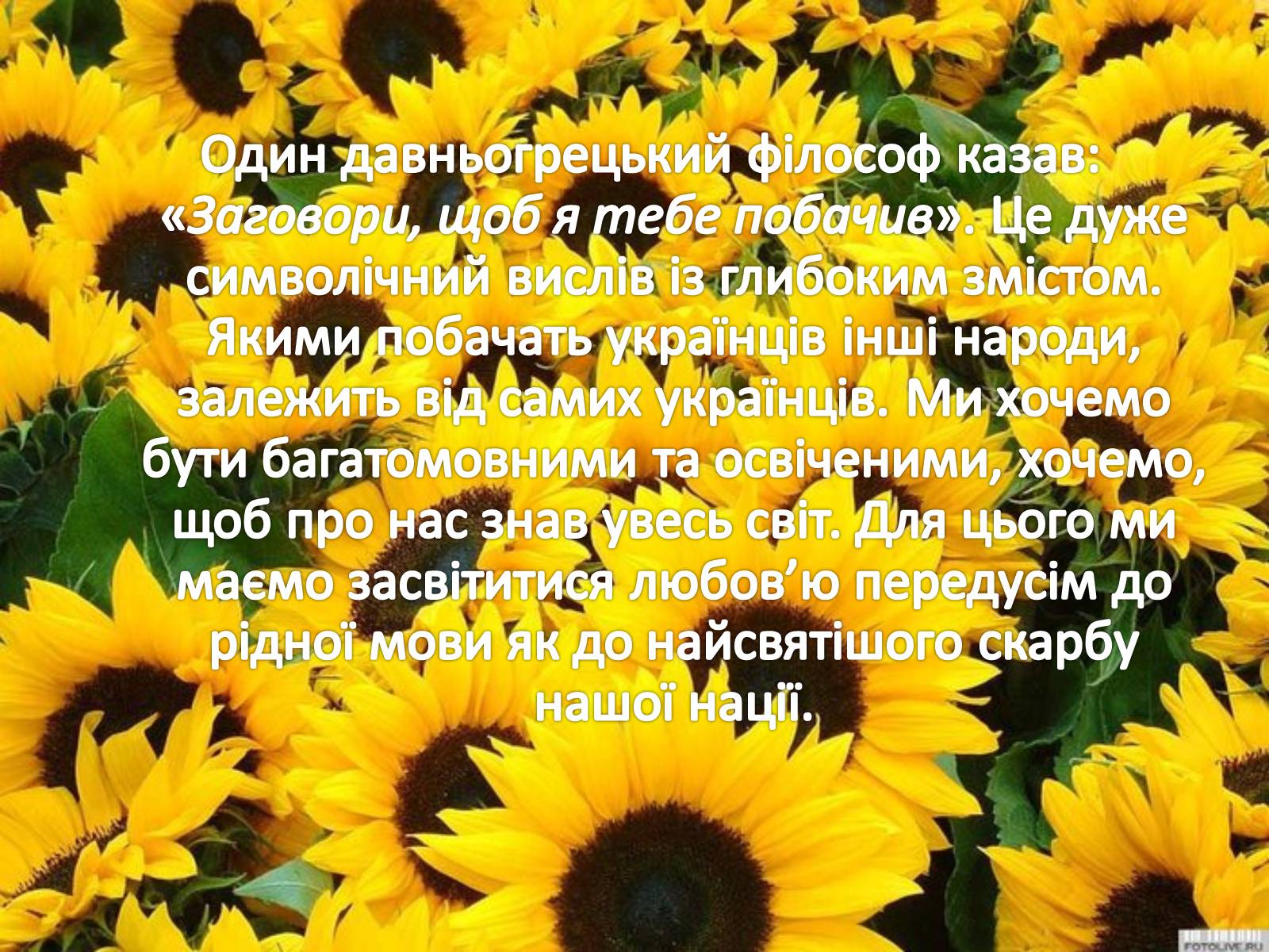 Презентація на тему «Українська мова» (варіант 1) - Слайд #11 Презентація на тему «Українська мова» (варіант 1) - Слайд #11