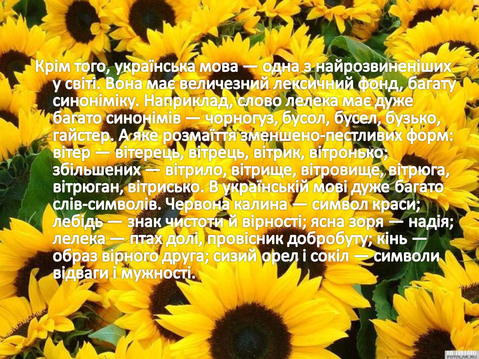 Презентація на тему «Українська мова» (варіант 1) - Слайд #5 Презентація на тему «Українська мова» (варіант 1) - Слайд #5