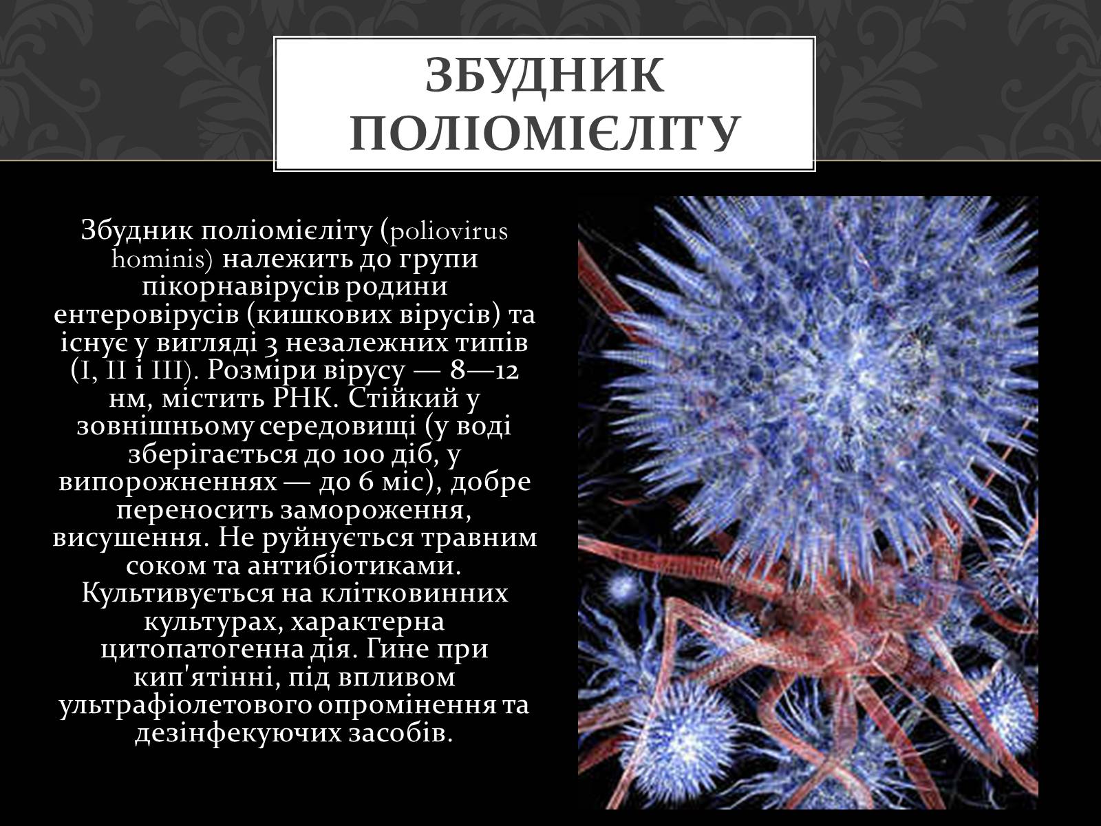 Презентація на тему «Поліомієліт» (варіант 2) - Слайд #5 Презентація на тему «Поліомієліт» (варіант 2) - Слайд #5
