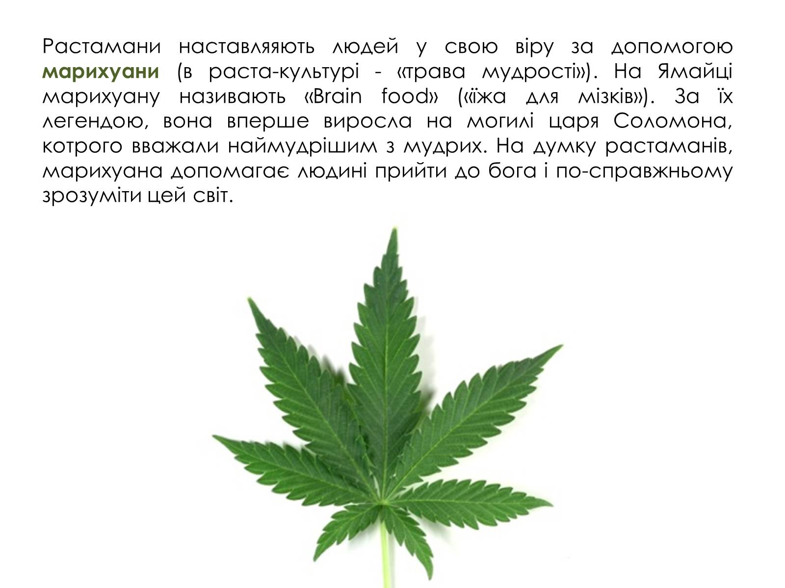 Презентація на тему «Субкультура растаманів» - Слайд #7 Презентація на тему «Субкультура растаманів» - Слайд #7