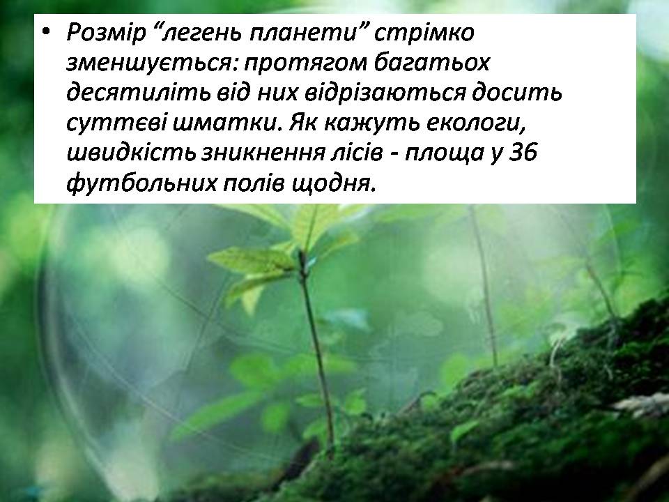 Презентація на тему «Знищення лісів» (варіант 2) - Слайд #13 Презентація на тему «Знищення лісів» (варіант 2) - Слайд #13
