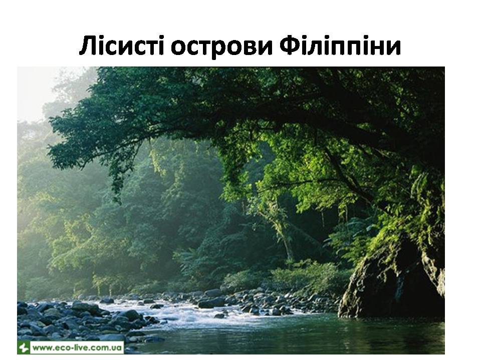 Презентація на тему «Знищення лісів» (варіант 2) - Слайд #20 Презентація на тему «Знищення лісів» (варіант 2) - Слайд #20