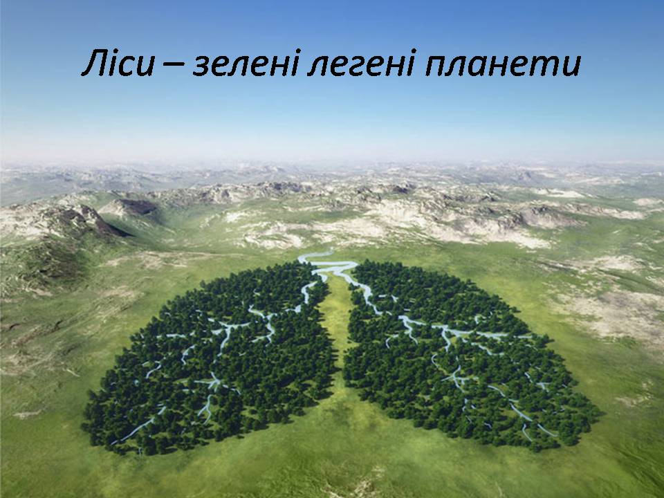 Презентація на тему «Знищення лісів» (варіант 2) - Слайд #4 Презентація на тему «Знищення лісів» (варіант 2) - Слайд #4