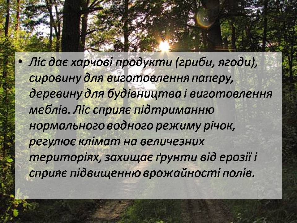 Презентація на тему «Знищення лісів» (варіант 2) - Слайд #5 Презентація на тему «Знищення лісів» (варіант 2) - Слайд #5