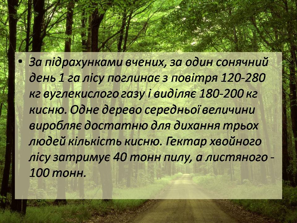 Презентація на тему «Знищення лісів» (варіант 2) - Слайд #6 Презентація на тему «Знищення лісів» (варіант 2) - Слайд #6