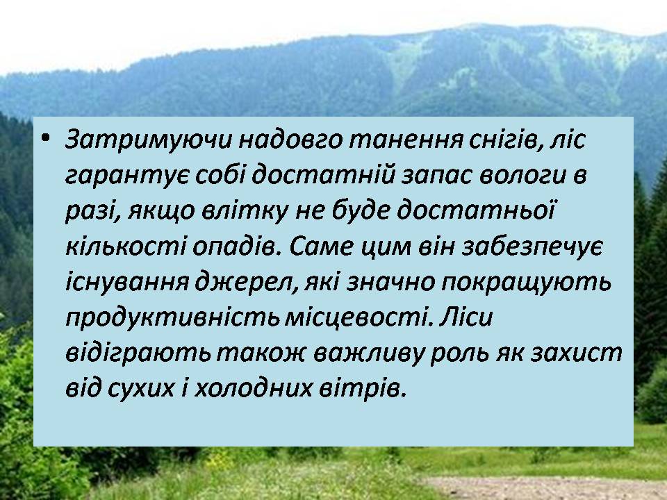 Презентація на тему «Знищення лісів» (варіант 2) - Слайд #7 Презентація на тему «Знищення лісів» (варіант 2) - Слайд #7