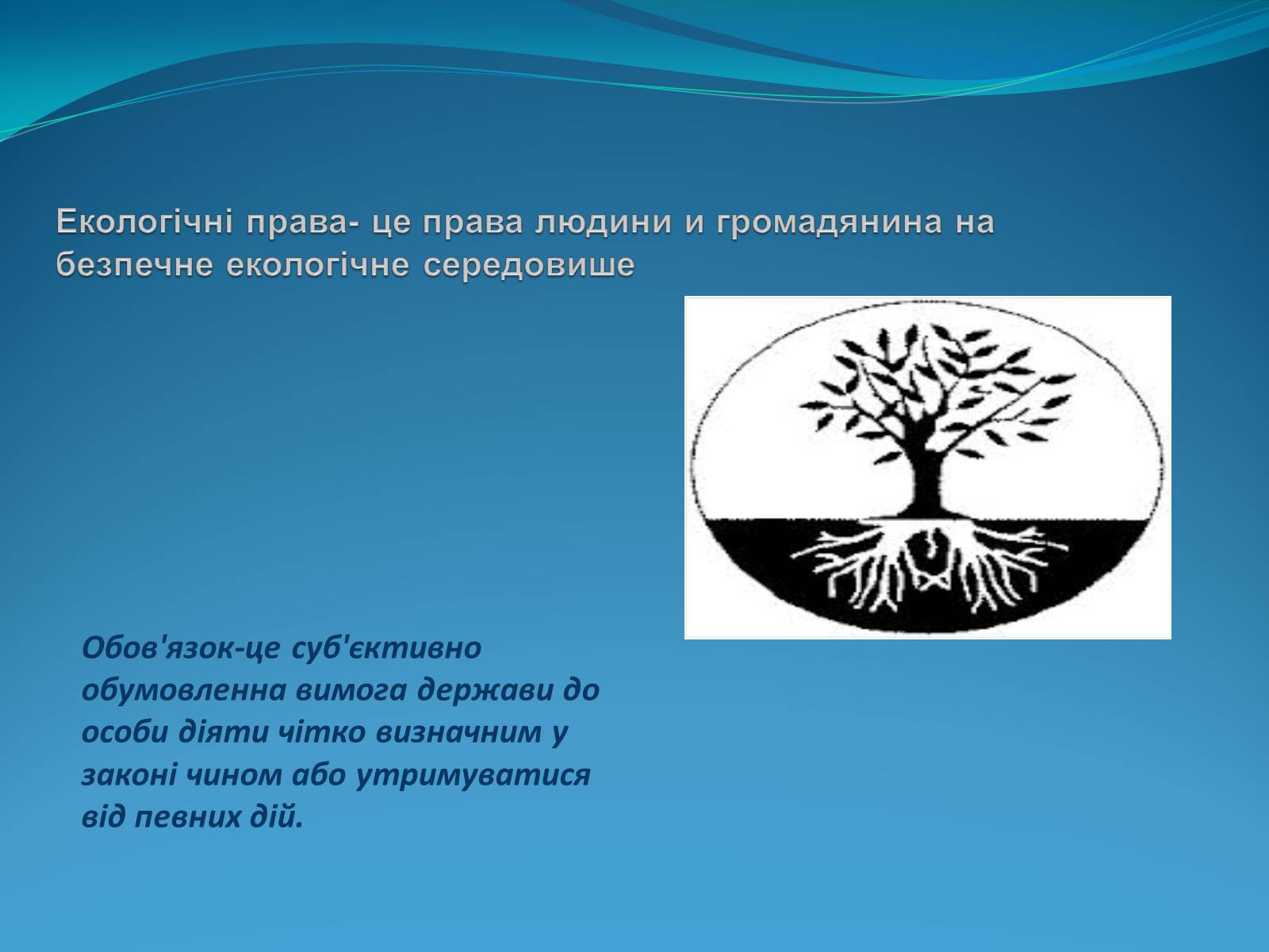 Презентація на тему «Права людини в Україні» - Слайд #5 Презентація на тему «Права людини в Україні» - Слайд #5