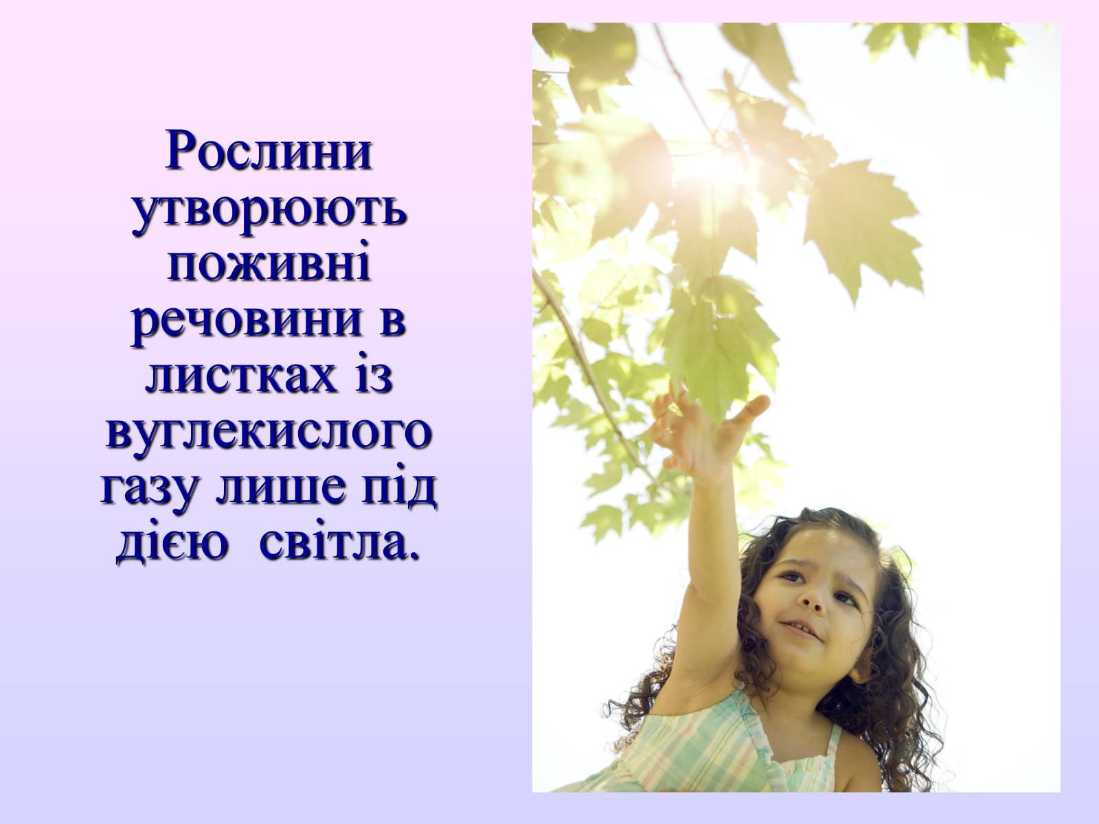 Презентація на тему «Взаємозв’язки в природі» - Слайд #15 Презентація на тему «Взаємозв’язки в природі» - Слайд #15