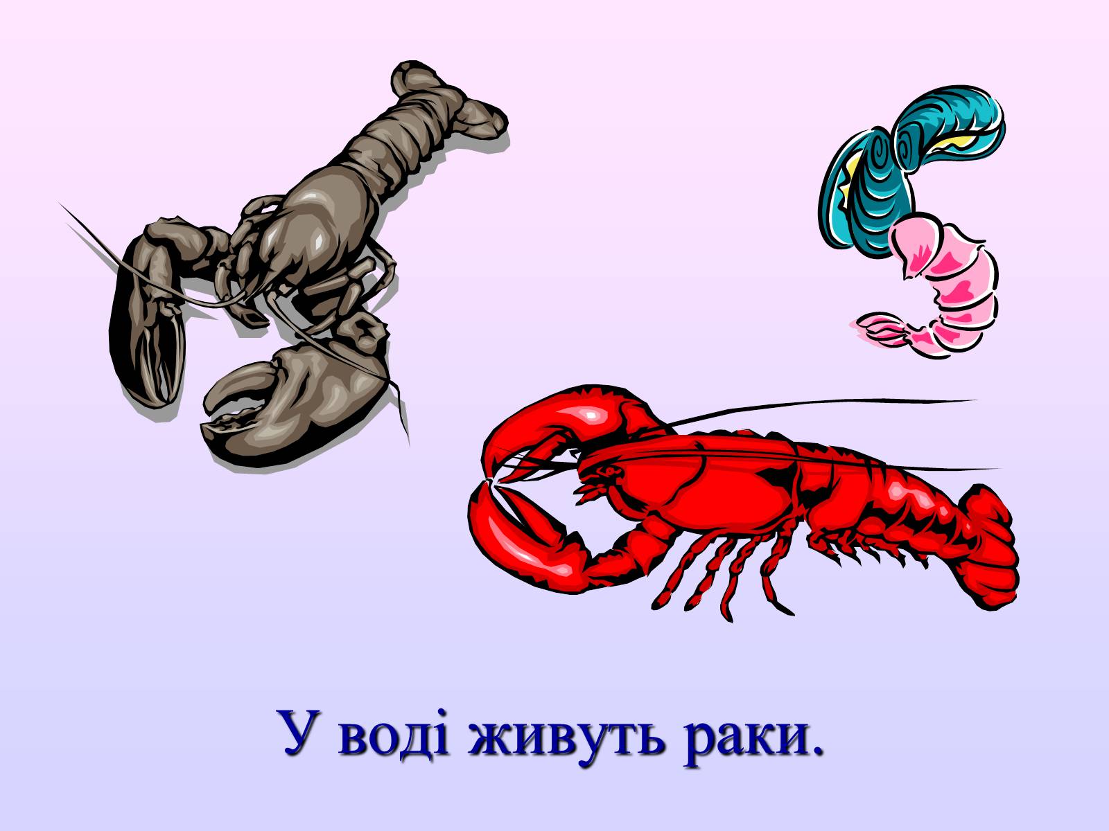Презентація на тему «Взаємозв’язки в природі» - Слайд #18 Презентація на тему «Взаємозв’язки в природі» - Слайд #18