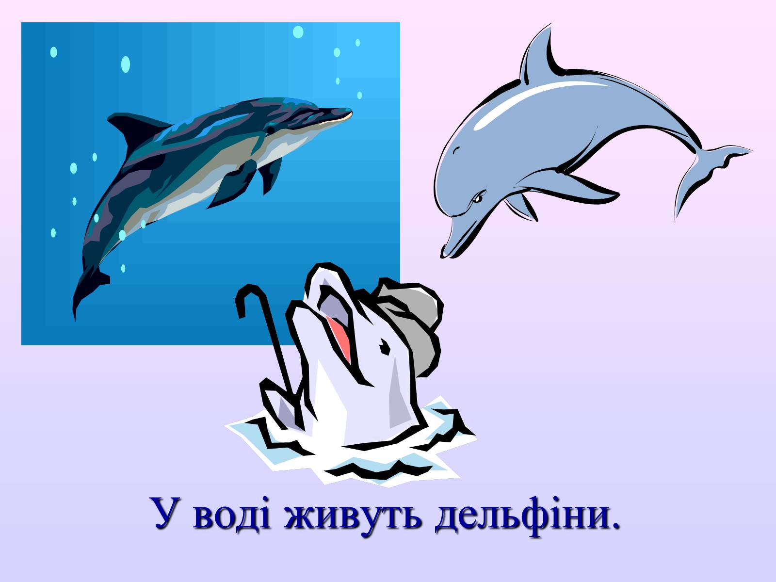 Презентація на тему «Взаємозв’язки в природі» - Слайд #20 Презентація на тему «Взаємозв’язки в природі» - Слайд #20