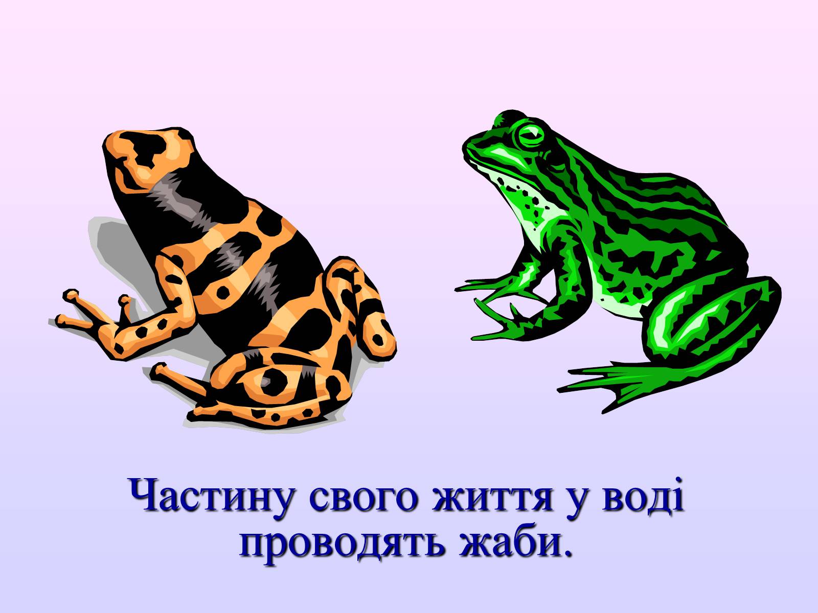 Презентація на тему «Взаємозв’язки в природі» - Слайд #24 Презентація на тему «Взаємозв’язки в природі» - Слайд #24