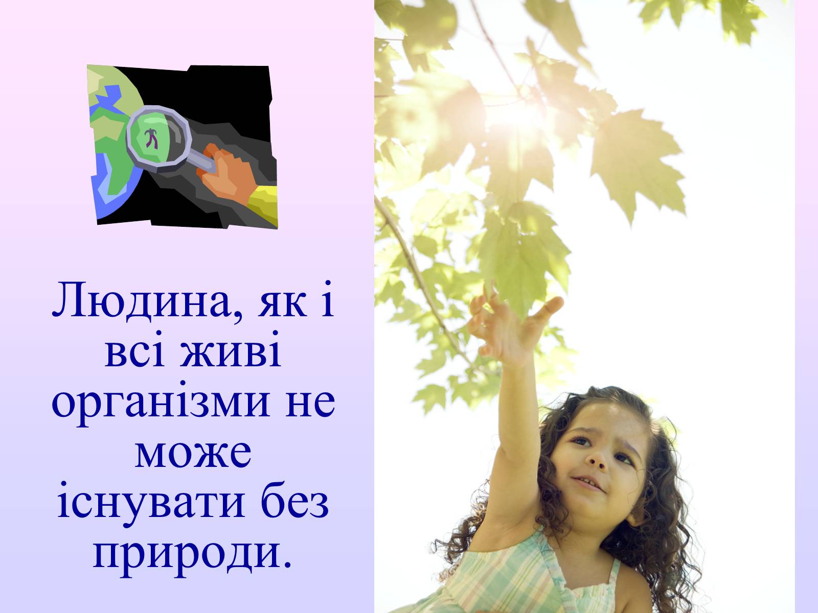 Презентація на тему «Взаємозв’язки в природі» - Слайд #39 Презентація на тему «Взаємозв’язки в природі» - Слайд #39