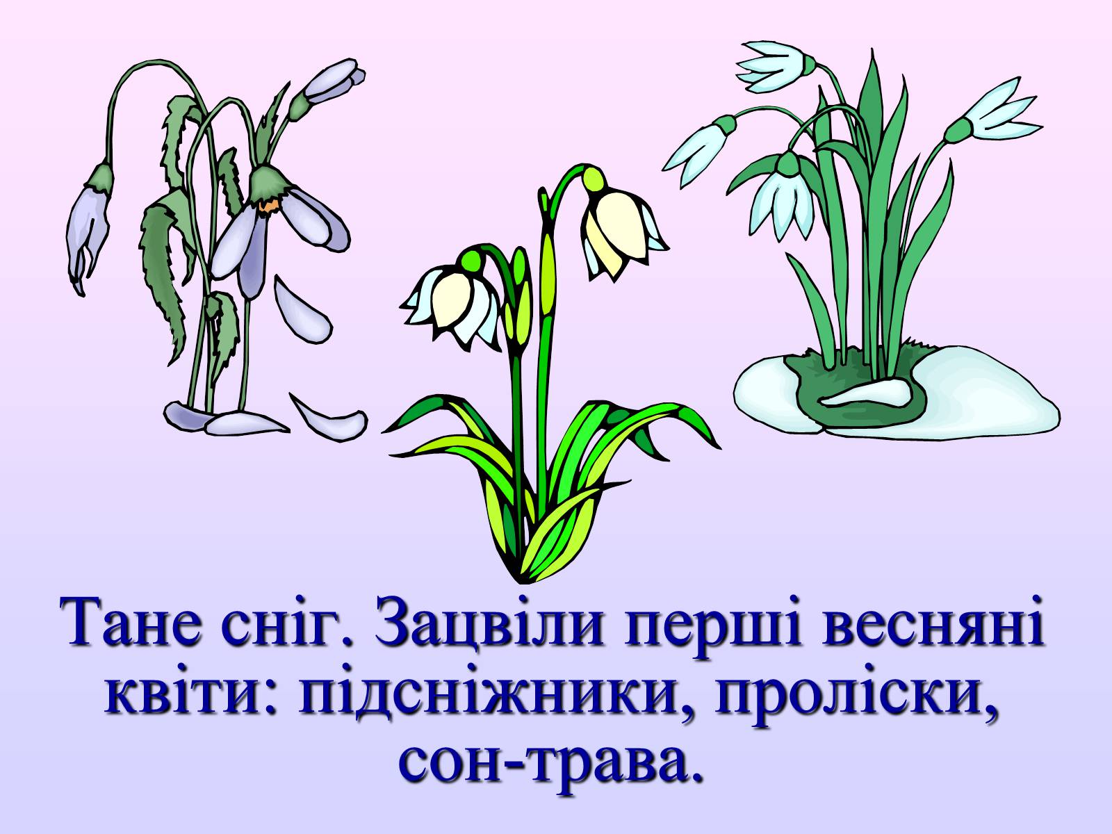 Презентація на тему «Взаємозв’язки в природі» - Слайд #4 Презентація на тему «Взаємозв’язки в природі» - Слайд #4