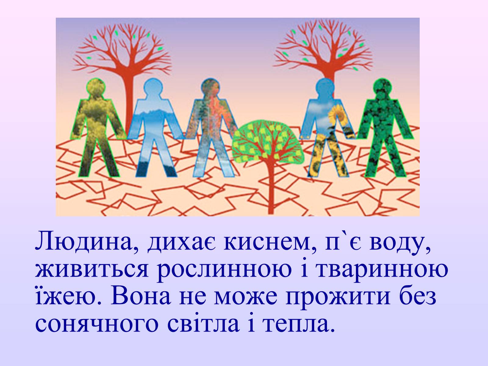 Презентація на тему «Взаємозв’язки в природі» - Слайд #40 Презентація на тему «Взаємозв’язки в природі» - Слайд #40