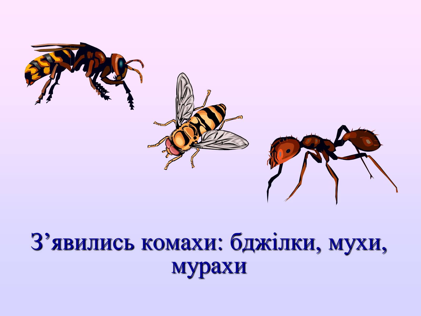 Презентація на тему «Взаємозв’язки в природі» - Слайд #6 Презентація на тему «Взаємозв’язки в природі» - Слайд #6