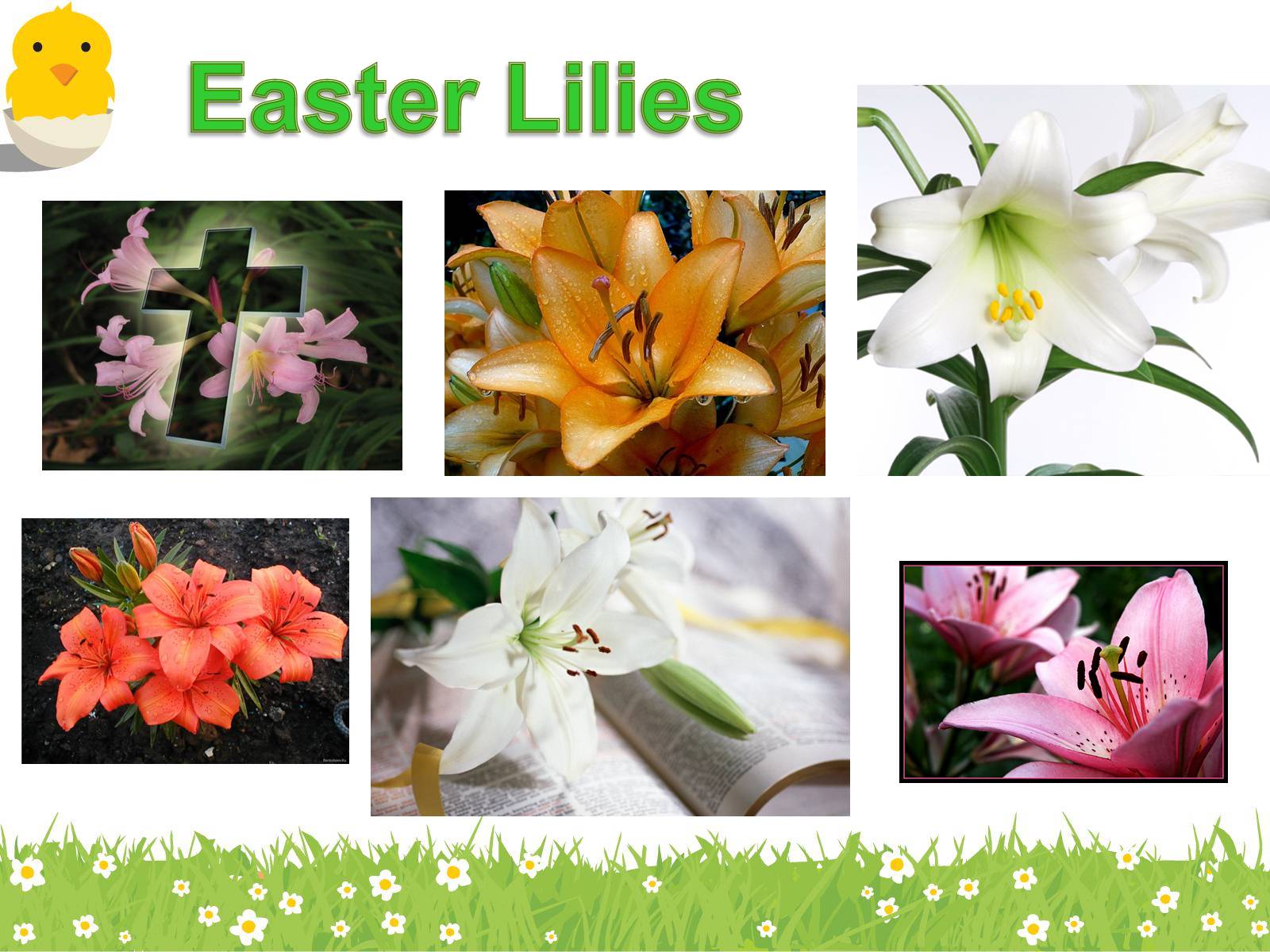 Презентація на тему «Symbols of Easter» - Слайд #11 Презентація на тему «Symbols of Easter» - Слайд #11