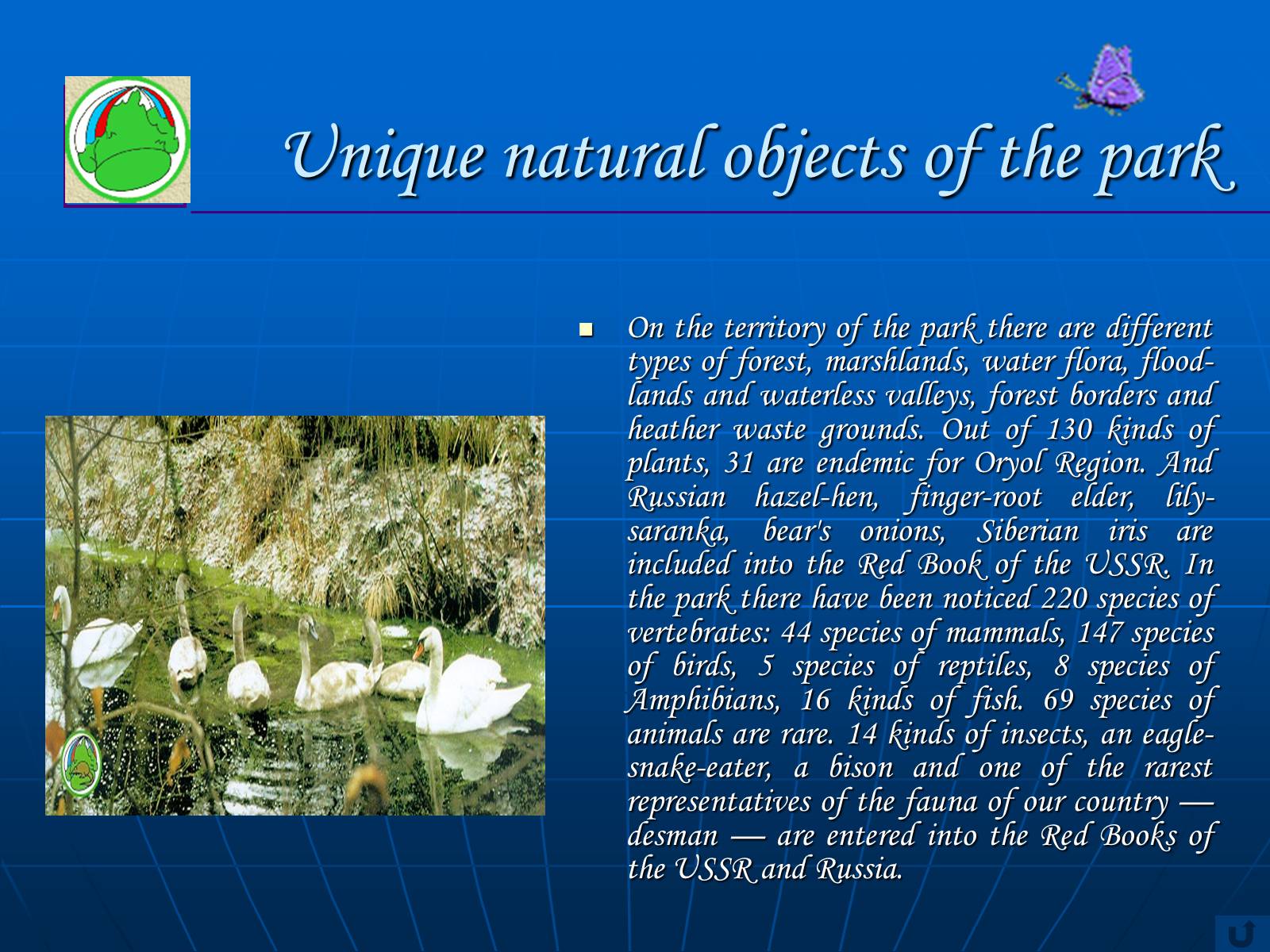 Презентація на тему «The protection of the environment» - Слайд #10 Презентація на тему «The protection of the environment» - Слайд #10